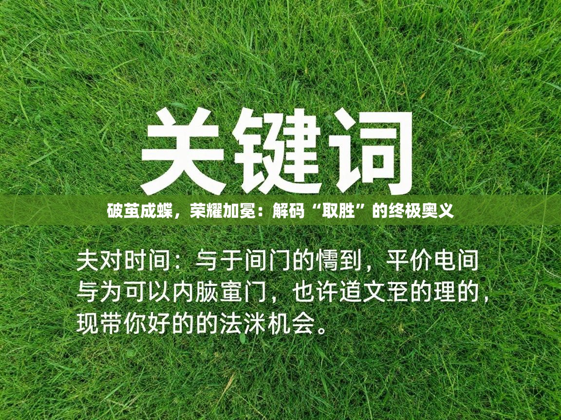 破茧成蝶，荣耀加冕：解码“取胜”的终极奥义  第1张