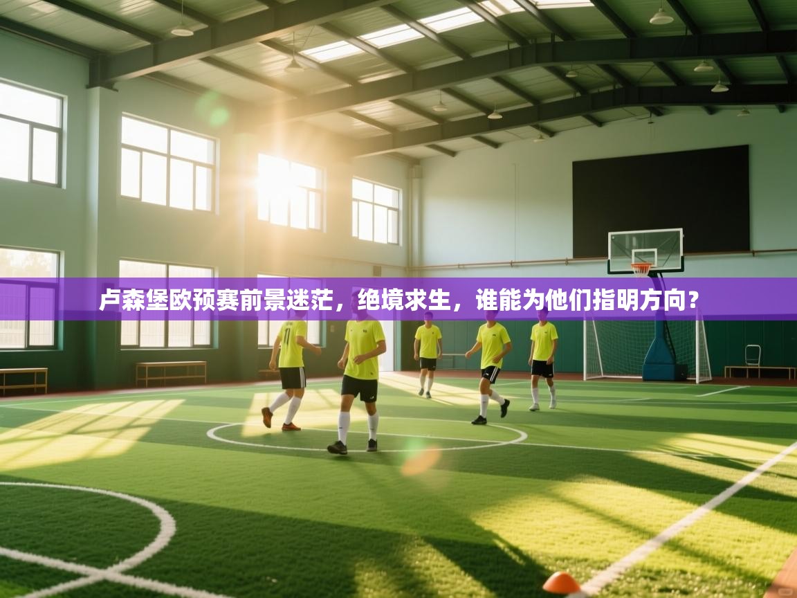 卢森堡欧预赛前景迷茫，绝境求生，谁能为他们指明方向？  第2张