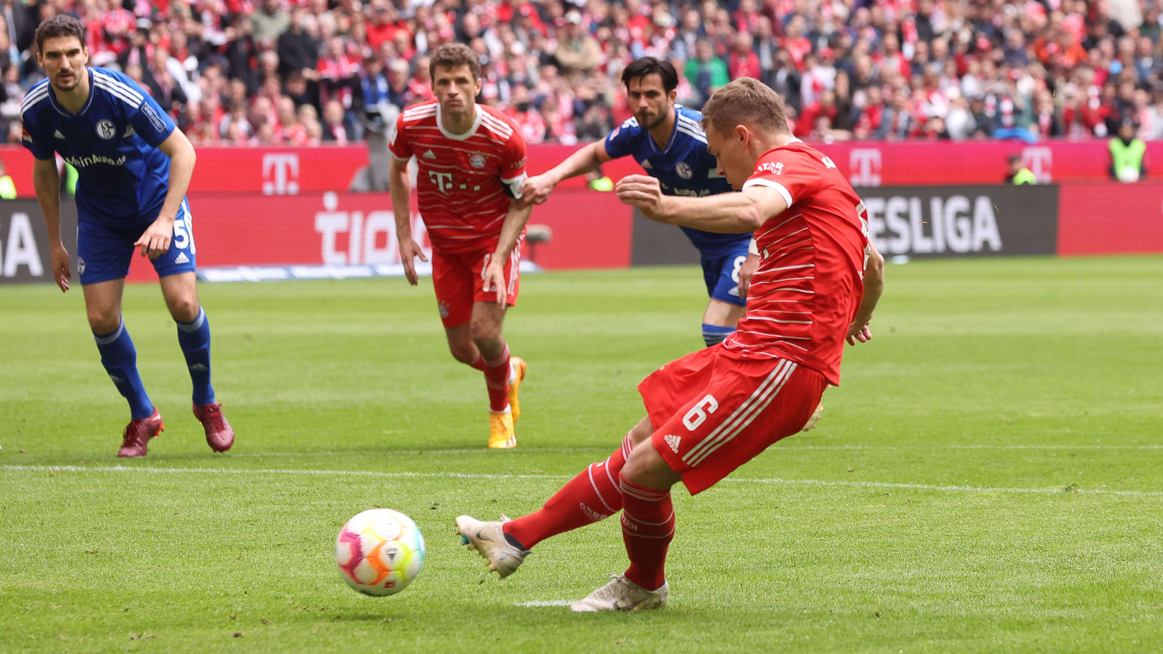 爱游戏在线登录-沙尔克主帅力挺球队士气，盼重现德甲巅峰的简单介绍