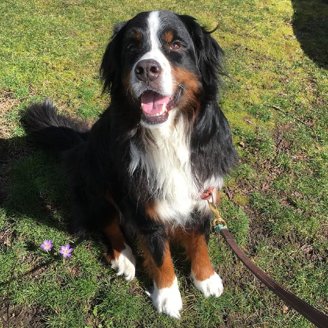 爱游戏竞技-包含伯恩山重点训练，为接下来比赛做好准备的词条