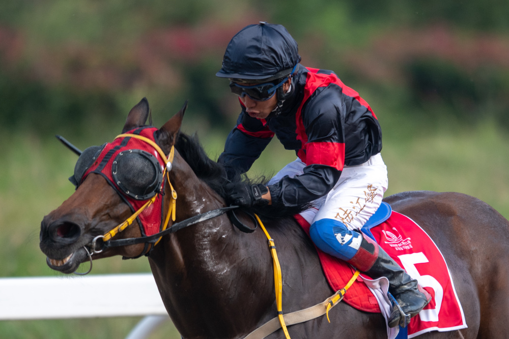 爱游戏注册-关于直布罗陀马术选手驾驭好马夺冠的信息