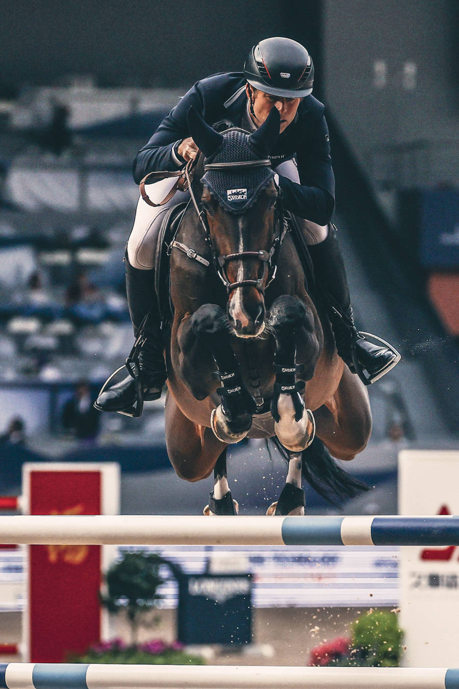 关于直布罗陀马术选手驾驭好马夺冠的信息 关于直布罗陀马术选手驾驭好马夺冠的信息